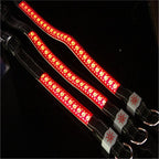 LED light collar pet collar