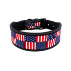Diving material pet collar