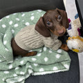 Winter Wear Warm Pet Autumnwinter Clothes