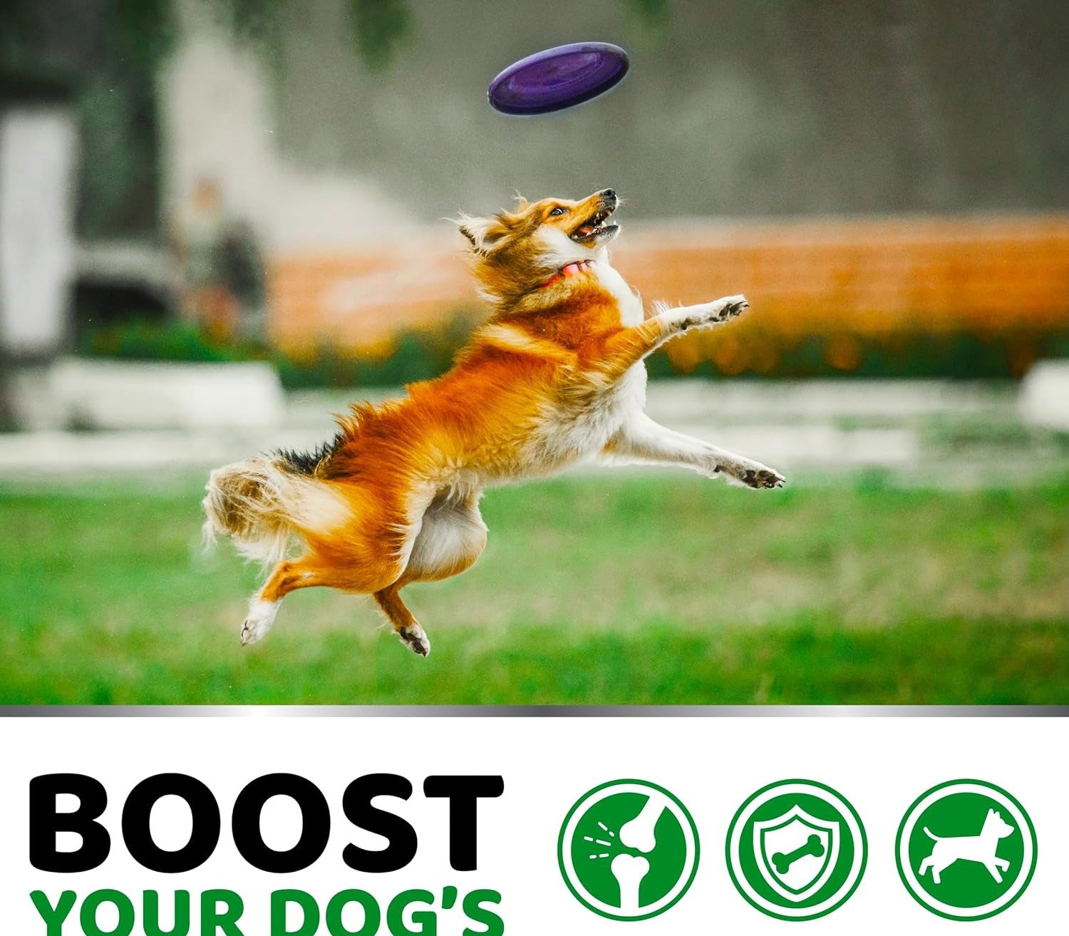 Pet Hip & Joint Supplement Chondroitin Soft Particles