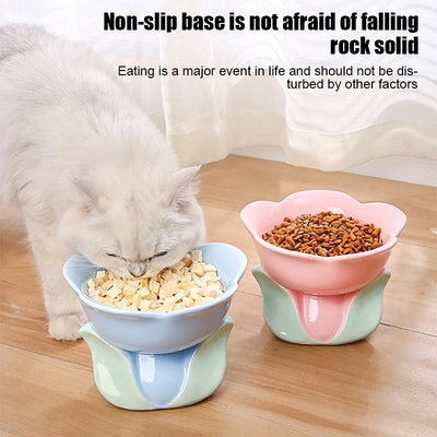Pet Drinking Eating Feeders Small Dogs Elevated Non-slip Feeding Supplies