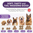 Dog Multivitamin Chewable Dog Vitamins And Supplements With Glucosamine 170 Chews Hip & Joint Pet Immune Support Skin & Coat Gut & Heart Health Senior & Puppy Multivitamin Pet Supplement