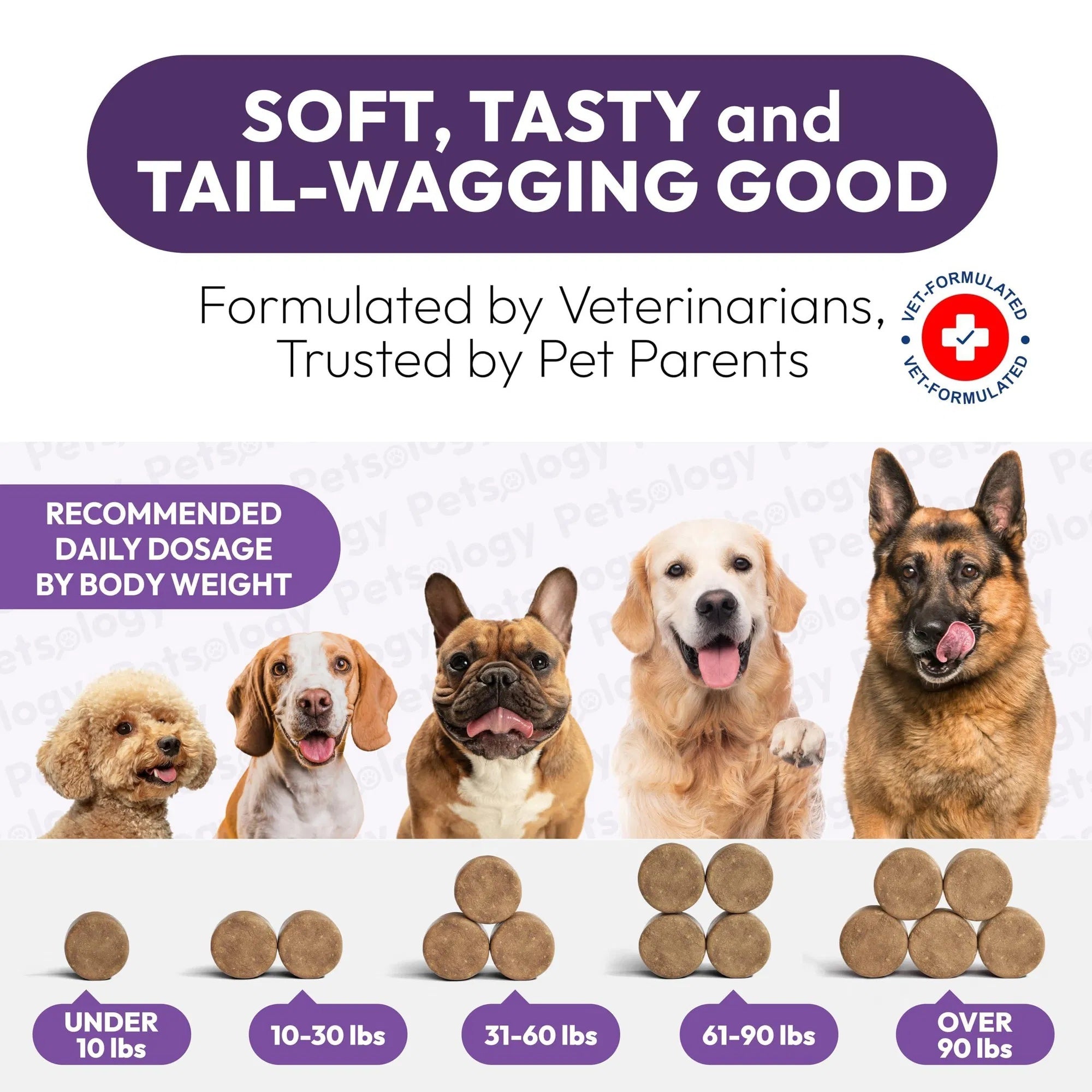 Dog Multivitamin Chewable Dog Vitamins And Supplements With Glucosamine 170 Chews Hip & Joint Pet Immune Support Skin & Coat Gut & Heart Health Senior & Puppy Multivitamin Pet Supplement