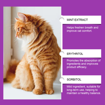 Pet Cat Daily Care Vitamin Supplement