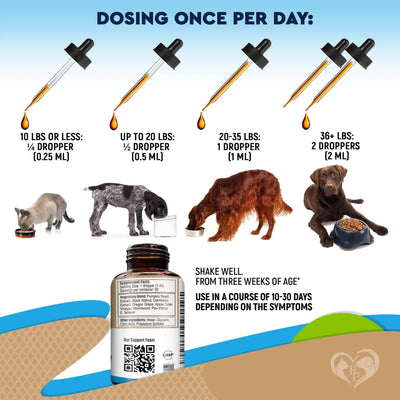 Cats And Dogs Natural Worm Treatment With Probiotic Liquid Herbal Medicine Prevention Medication