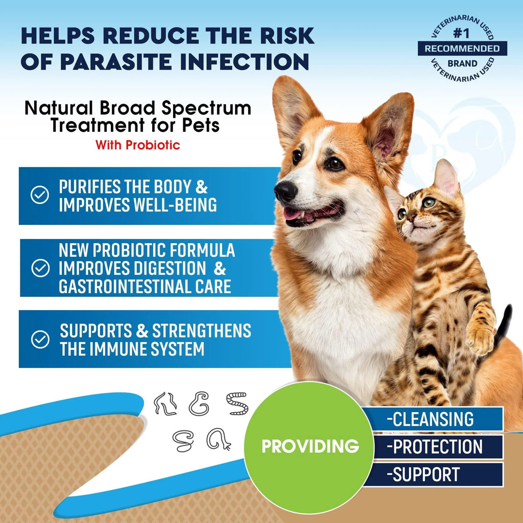 Cats And Dogs Natural Worm Treatment With Probiotic Liquid Herbal Medicine Prevention Medication