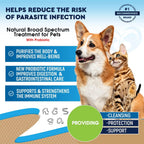 Cats And Dogs Natural Worm Treatment With Probiotic Liquid Herbal Medicine Prevention Medication