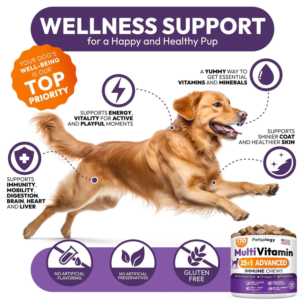 Dog Multivitamin Chewable Dog Vitamins And Supplements With Glucosamine 170 Chews Hip & Joint Pet Immune Support Skin & Coat Gut & Heart Health Senior & Puppy Multivitamin Pet Supplement