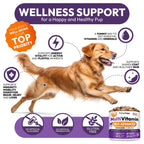 Dog Multivitamin Chewable Dog Vitamins And Supplements With Glucosamine 170 Chews Hip & Joint Pet Immune Support Skin & Coat Gut & Heart Health Senior & Puppy Multivitamin Pet Supplement